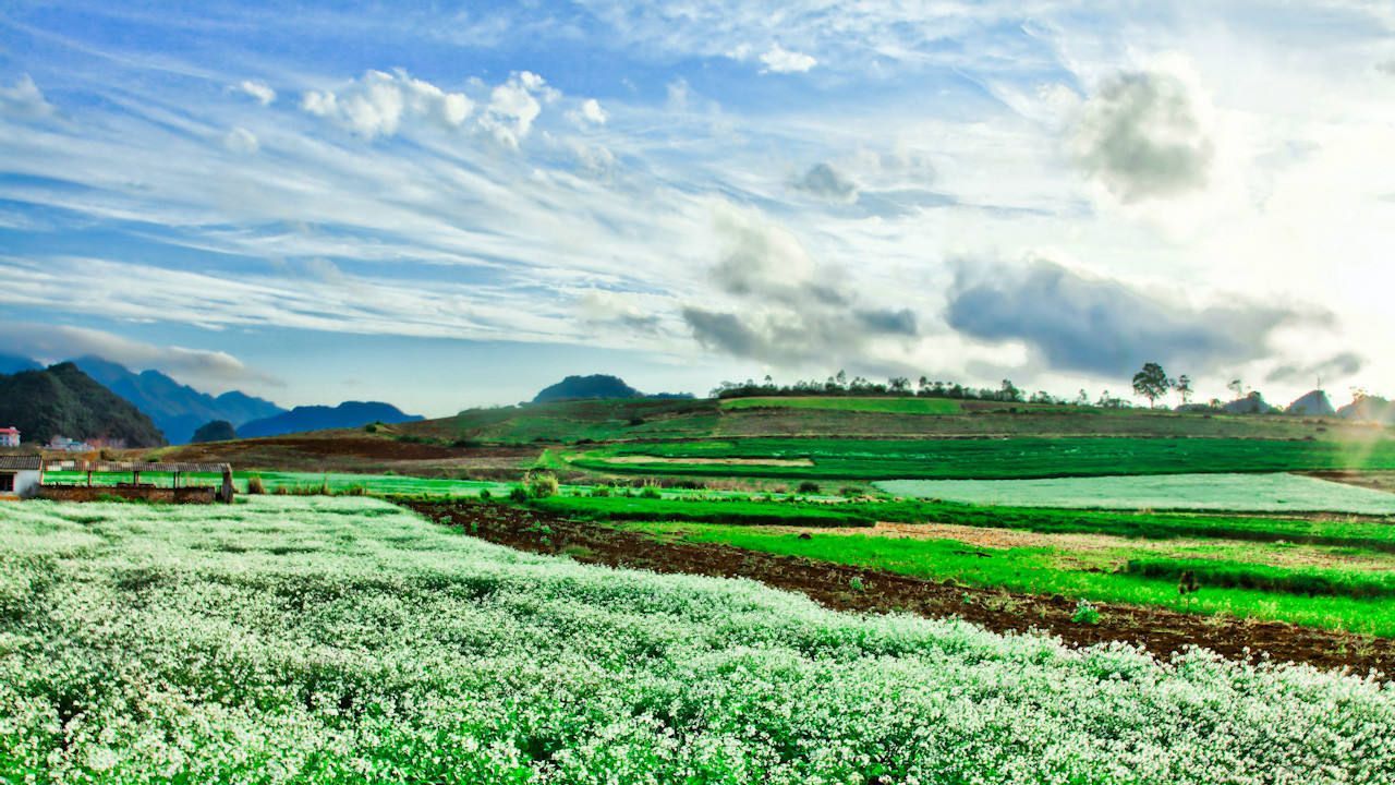 TOUR  TRONG NƯỚC  TẾT 2025