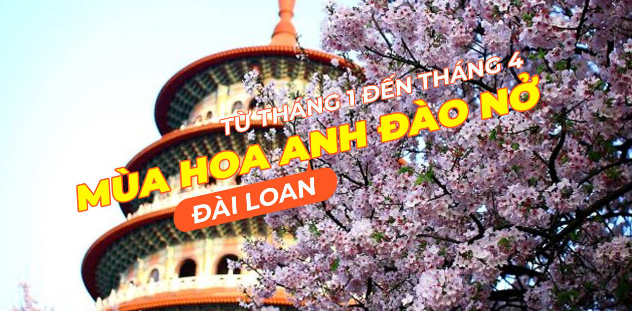 Địa điểm ngắm hoa anh đào khi du lịch tại Đài Loan vào tháng 2