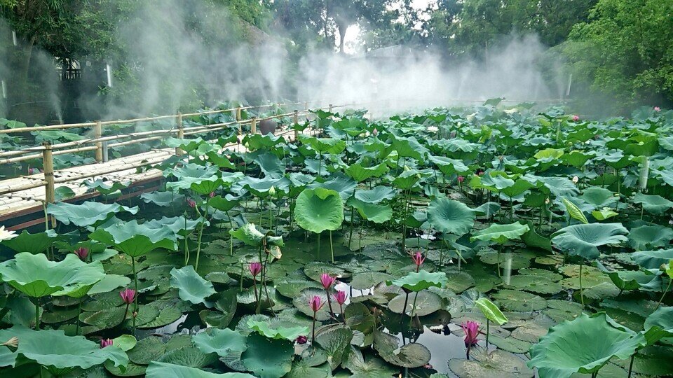 6-diem-to-chuc-team-building-1-ngay-pho-bien-tai-ha-noi