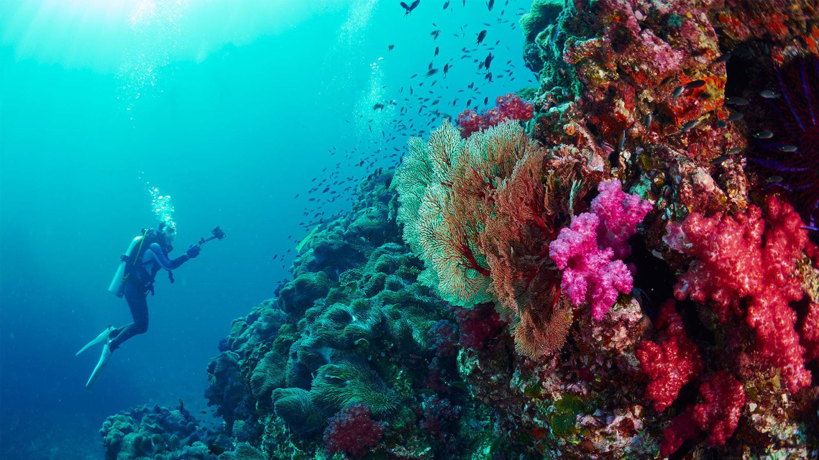 dao-similan-thien-duong-xinh-dep-du-lich-thai-lan